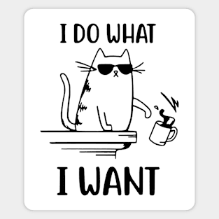 I Do What I Want - Cool Cat Magnet